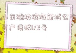 山东潍坊滨海新城公有资产债权1/2号