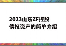 2023山东ZF控股债权资产的简单介绍