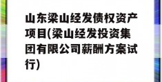 山东梁山经发债权资产项目(梁山经发投资集团有限公司薪酬方案试行)