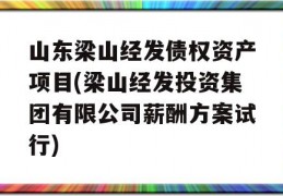 山东梁山经发债权资产项目(梁山经发投资集团有限公司薪酬方案试行)