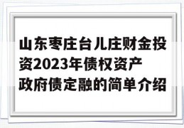 山东枣庄台儿庄财金投资2023年债权资产政府债定融的简单介绍