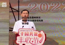 2022山东德州齐河城投6号合同存证的简单介绍