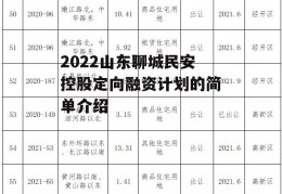 2022山东聊城民安控股定向融资计划的简单介绍