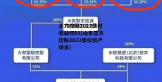 正方控股2022债权收益权01(山东正方控股2022债权资产项目)