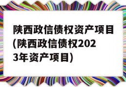 陕西政信债权资产项目(陕西政信债权2023年资产项目)