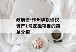 政府债-林州城投债权资产1号定融项目的简单介绍