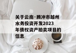 关于云南·腾冲市越州水务投资开发2023年债权资产拍卖项目的信息