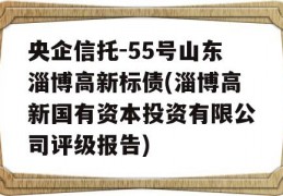 央企信托-55号山东淄博高新标债(淄博高新国有资本投资有限公司评级报告)