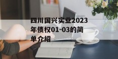 四川国兴实业2023年债权01-03的简单介绍