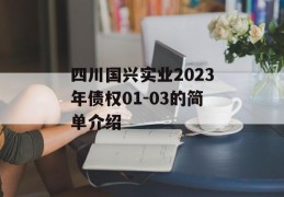 四川国兴实业2023年债权01-03的简单介绍