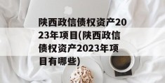 陕西政信债权资产2023年项目(陕西政信债权资产2023年项目有哪些)