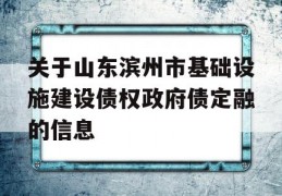 关于山东滨州市基础设施建设债权政府债定融的信息