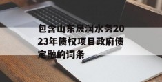 包含山东晟润水务2023年债权项目政府债定融的词条