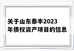 关于山东泰丰2023年债权资产项目的信息