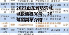 2022山东潍坊滨城城投债权30号、26号的简单介绍