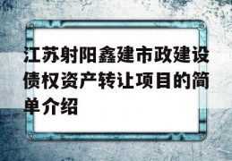 江苏射阳鑫建市政建设债权资产转让项目的简单介绍