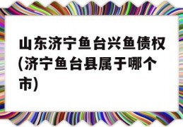 山东济宁鱼台兴鱼债权(济宁鱼台县属于哪个市)