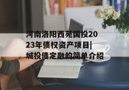 河南洛阳西苑国投2023年债权资产项目|城投债定融的简单介绍