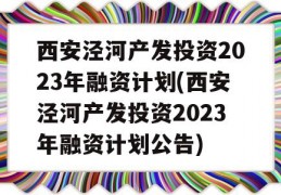 西安泾河产发投资2023年融资计划(西安泾河产发投资2023年融资计划公告)