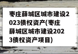 枣庄薛城区城市建设2023债权资产(枣庄薛城区城市建设2023债权资产项目)