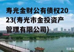 寿光金财公有债权2023(寿光市金投资产管理有限公司)