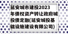 延安城市建投2023年债权资产转让政府城投债定融(延安城投基础设施建设有限公司)