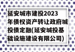 延安城市建投2023年债权资产转让政府城投债定融(延安城投基础设施建设有限公司)