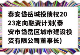 泰安岱岳城投债权2023定向融资计划(泰安市岱岳区城市建设投资有限公司董事长)