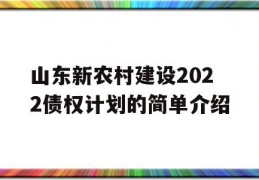 山东新农村建设2022债权计划的简单介绍