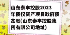 山东泰丰控股2023年债权资产项目政府债定融(山东泰丰控股集团有限公司地址)