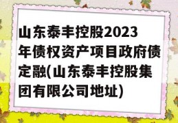 山东泰丰控股2023年债权资产项目政府债定融(山东泰丰控股集团有限公司地址)