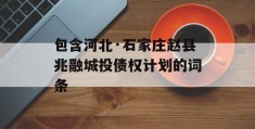 包含河北·石家庄赵县兆融城投债权计划的词条