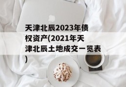 天津北辰2023年债权资产(2021年天津北辰土地成交一览表)