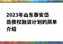 2023年山东泰安岱岳债权融资计划的简单介绍