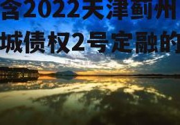 包含2022天津蓟州新城债权2号定融的词条