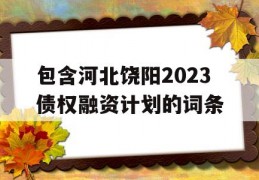 包含河北饶阳2023债权融资计划的词条