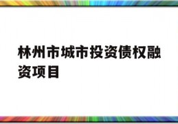 林州市城市投资债权融资项目