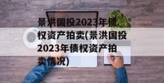 景洪国投2023年债权资产拍卖(景洪国投2023年债权资产拍卖情况)