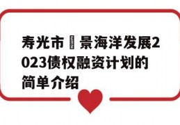 寿光市昇景海洋发展2023债权融资计划的简单介绍