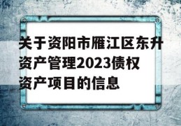 关于资阳市雁江区东升资产管理2023债权资产项目的信息