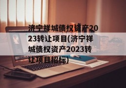 济宁祥城债权资产2023转让项目(济宁祥城债权资产2023转让项目招标)