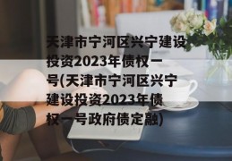 天津市宁河区兴宁建设投资2023年债权一号(天津市宁河区兴宁建设投资2023年债权一号政府债定融)