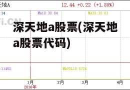 深天地a股票(深天地a股票代码)