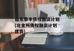 山东泰丰债权融资计划(北金所债权融资计划优势)