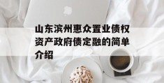 山东滨州惠众置业债权资产政府债定融的简单介绍