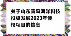 关于山东青岛海洋科技投资发展2023年债权项目的信息