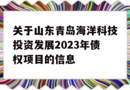 关于山东青岛海洋科技投资发展2023年债权项目的信息