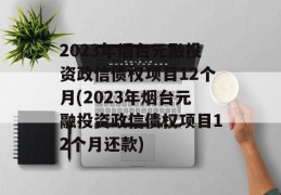 2023年烟台元融投资政信债权项目12个月(2023年烟台元融投资政信债权项目12个月还款)