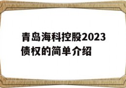 青岛海科控股2023债权的简单介绍