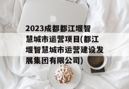 2023成都都江堰智慧城市运营项目(都江堰智慧城市运营建设发展集团有限公司)